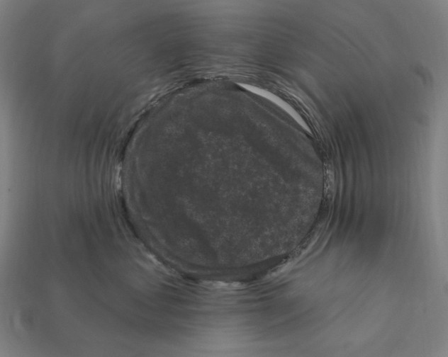 X0000112420621200909111011