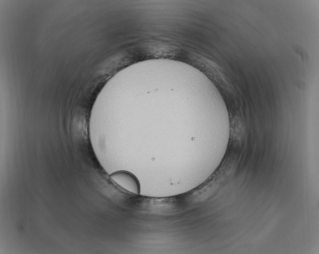 X0000112420622200909111011