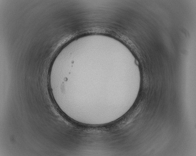 X0000112420625200909111010