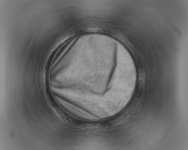 X0000112420626200909111010