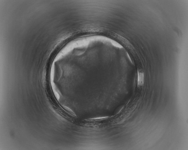 X0000112420627200909111010