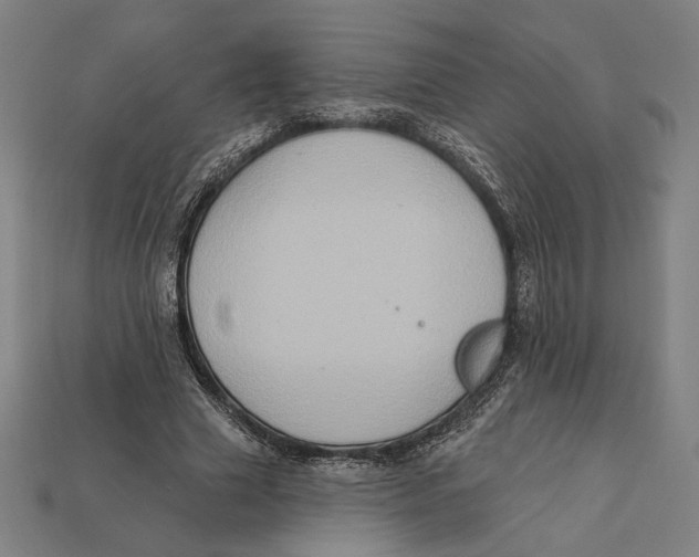 X0000112420633200909111011