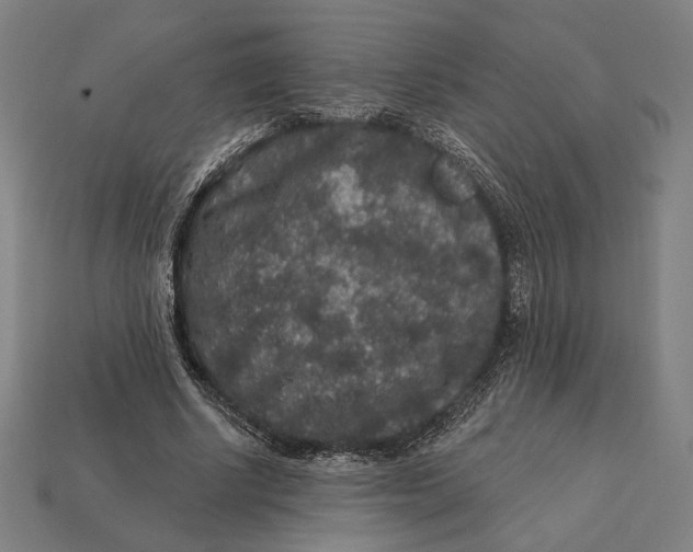 X0000112420634200909111011