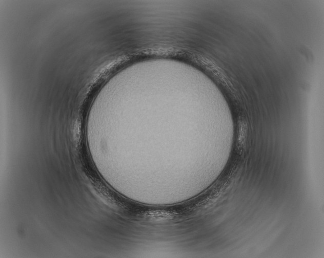 X0000112420636200909111011