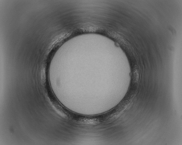 X0000112420638200909111011