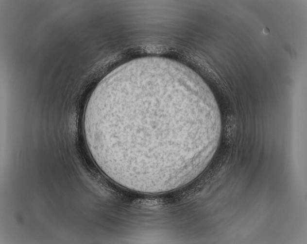 X0000112420639200909111011