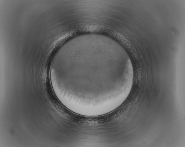 X0000112420640200909111011