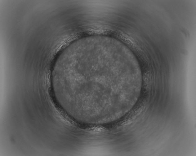 X0000112420642200909111011