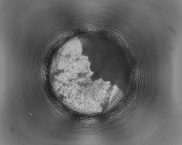 X0000112420643200909111011