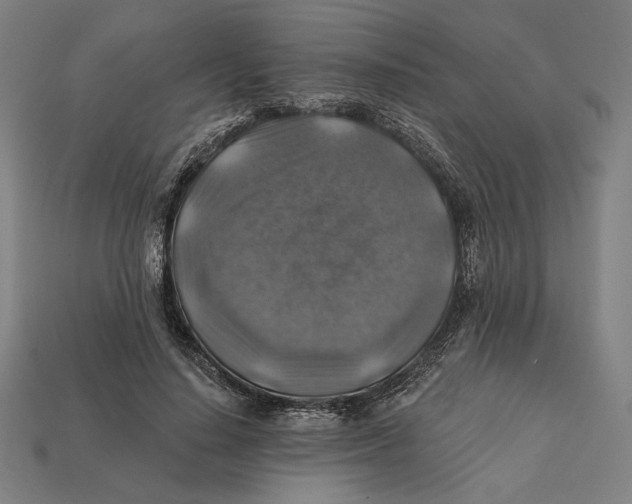 X0000112420644200909111011