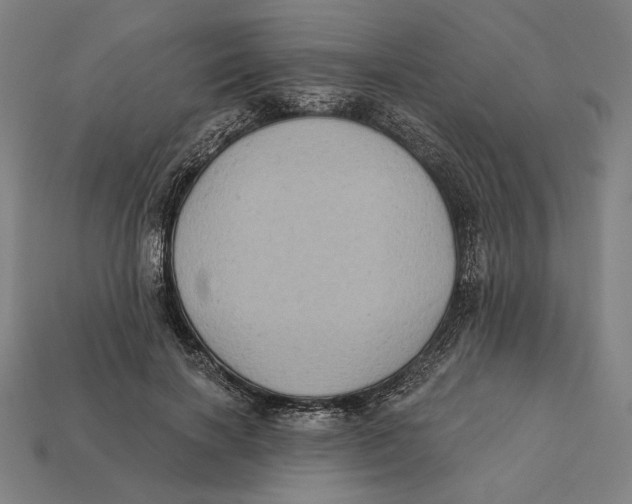 X0000112420646200909111011