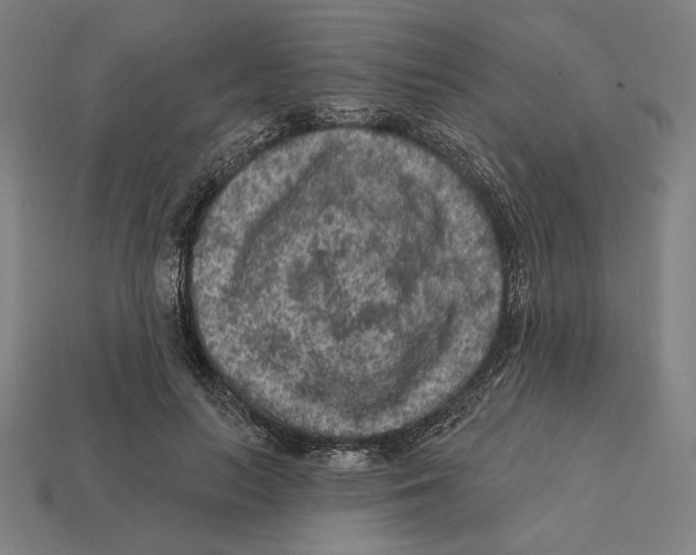 X0000112420647200909111011