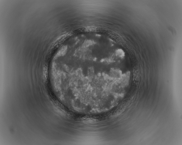 X0000112420648200909111011