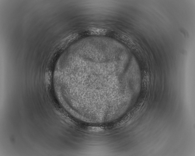 X0000112420649200909111011