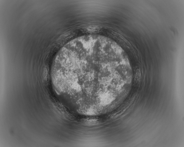 X0000112420651200909111011