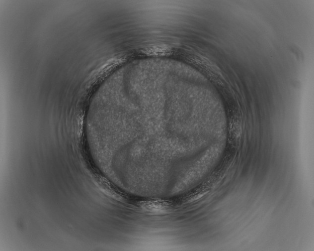 X0000112420652200909111011