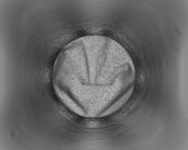 X0000112420658200909111011