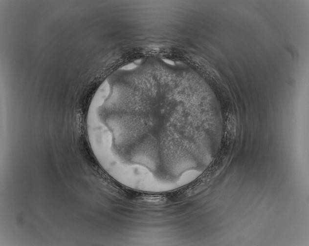 X0000112420659200909111011