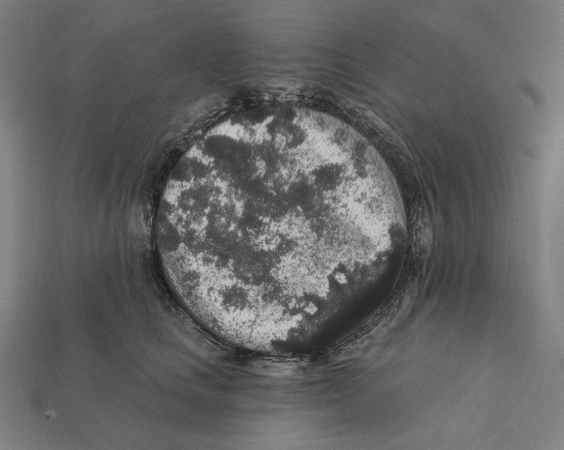 X0000112420661200909111011