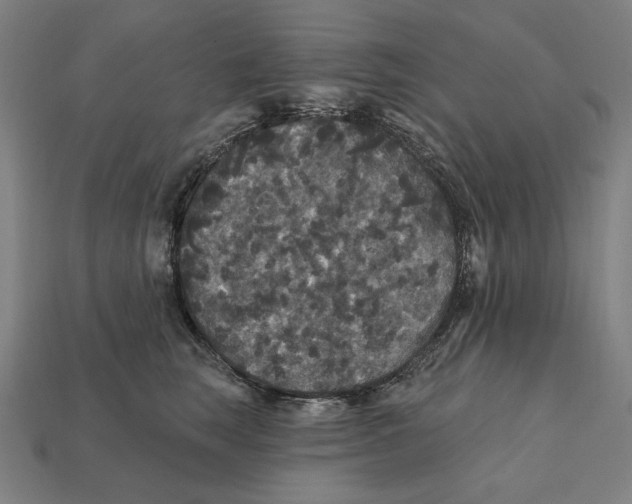 X0000112420663200909111011