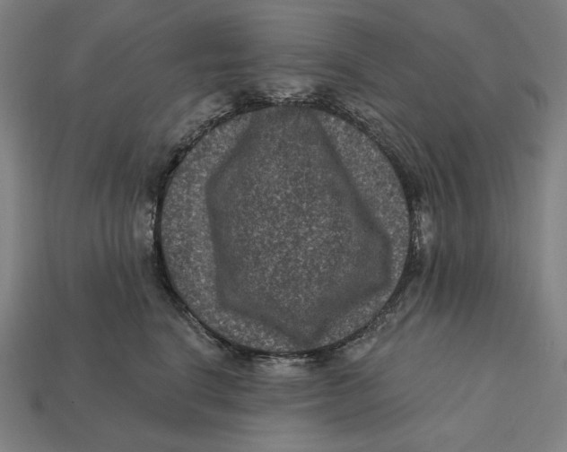 X0000112420664200909111011