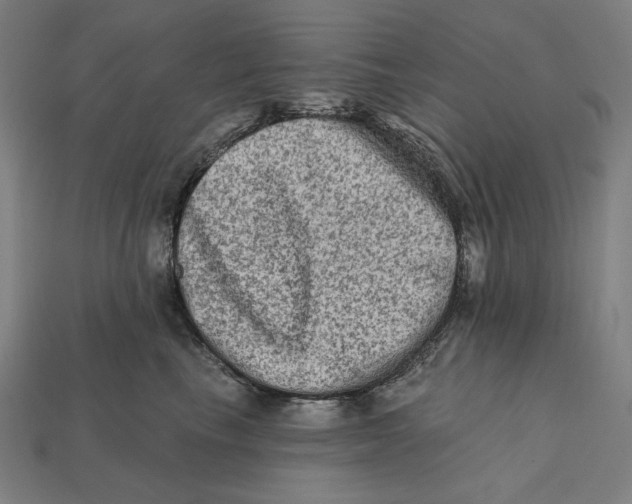 X0000112420665200909111011