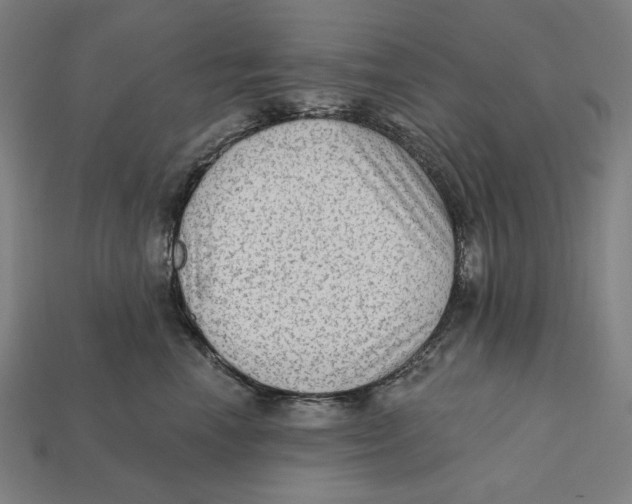 X0000112420666200909111011