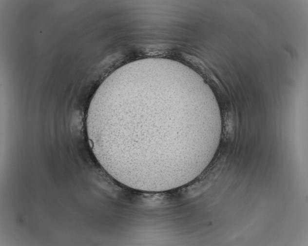 X0000112420667200909111011