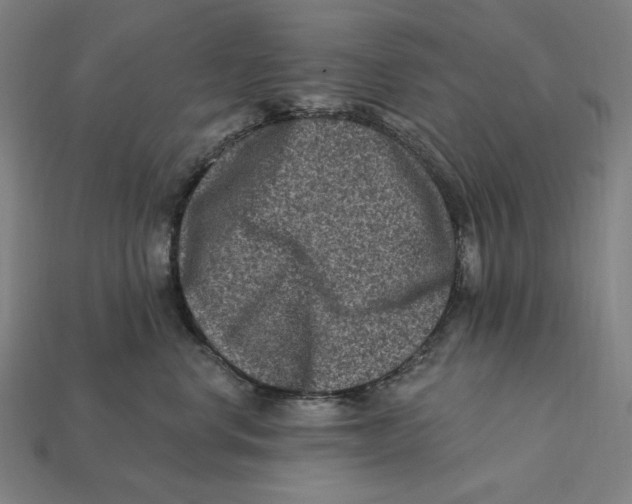 X0000112420668200909111011