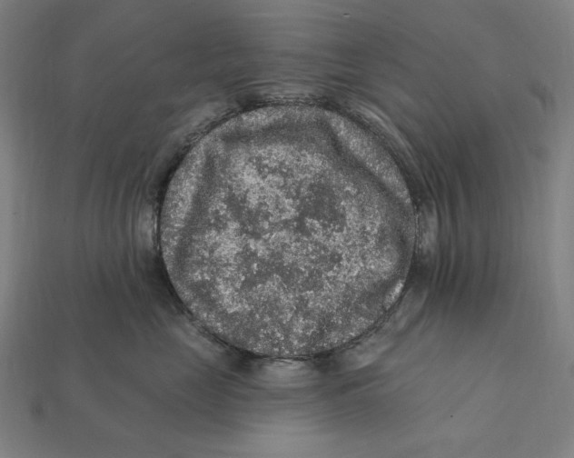 X0000112420669200909111011