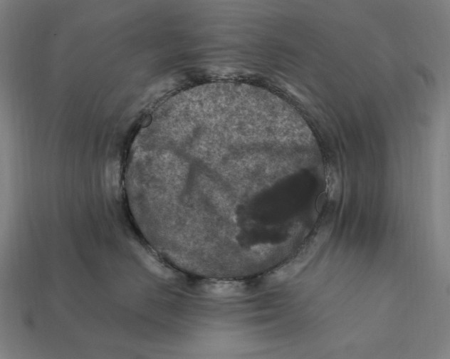 X0000112420670200909111011