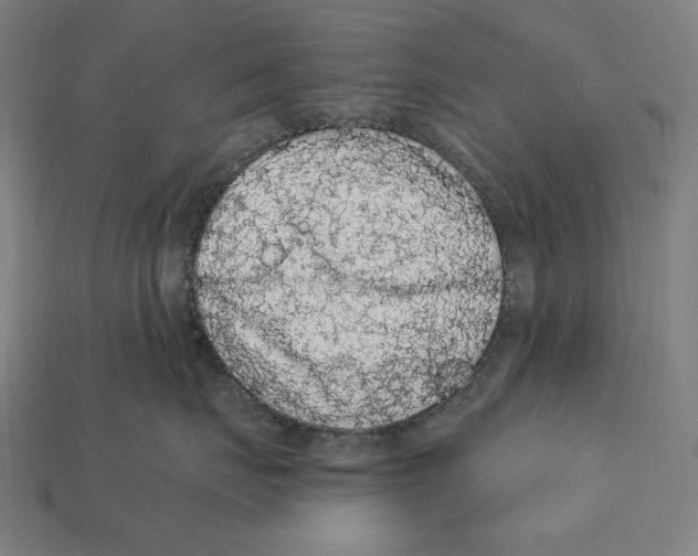 X0000112420671200909111011