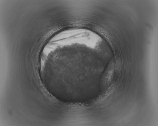 X0000112420673200909111010