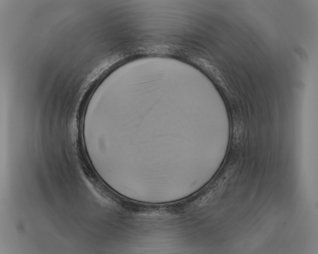 X0000112420674200909111010