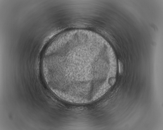 X0000112420675200909111010