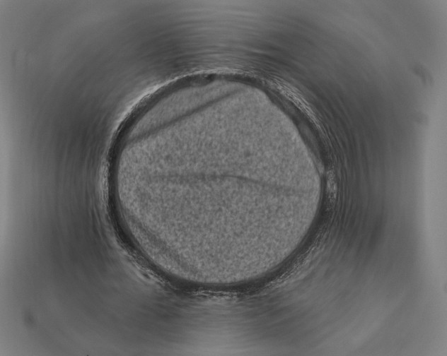 X0000112420676200909111010