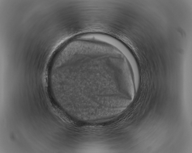 X0000112420680200909111010