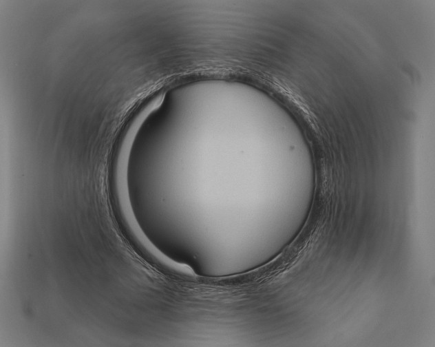 X0000112420681200909111010