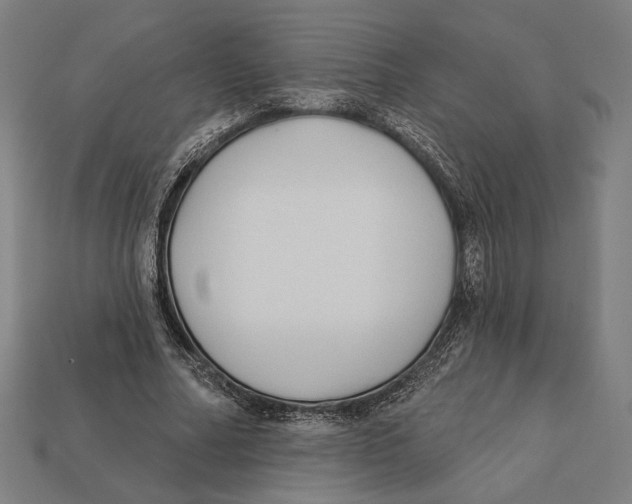 X0000112420682200909111010