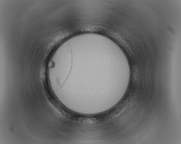 X0000112420683200909111010