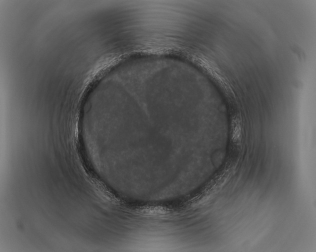 X0000112420685200909111010