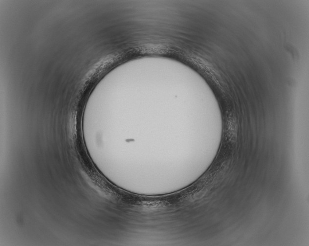 X0000112420686200909111010