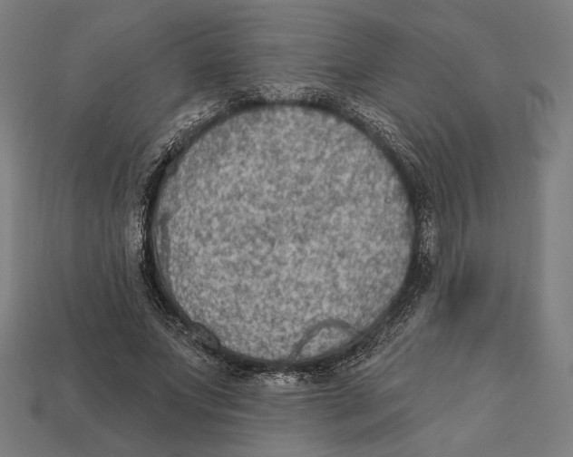 X0000112420687200909111010