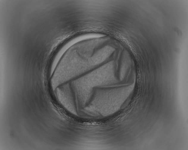 X0000112420688200909111010