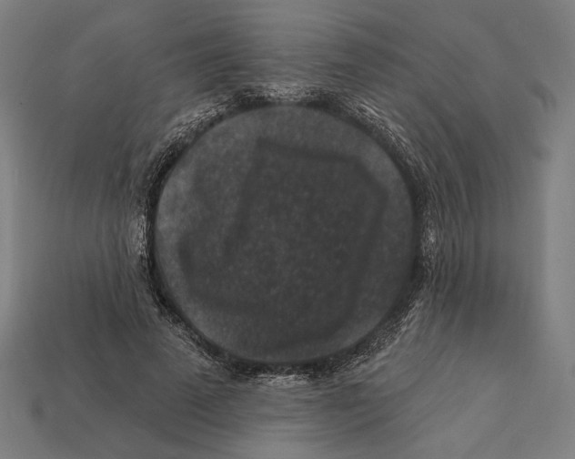 X0000112420689200909111010