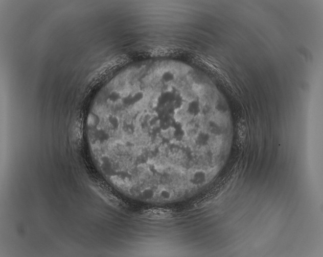 X0000112420691200909111010