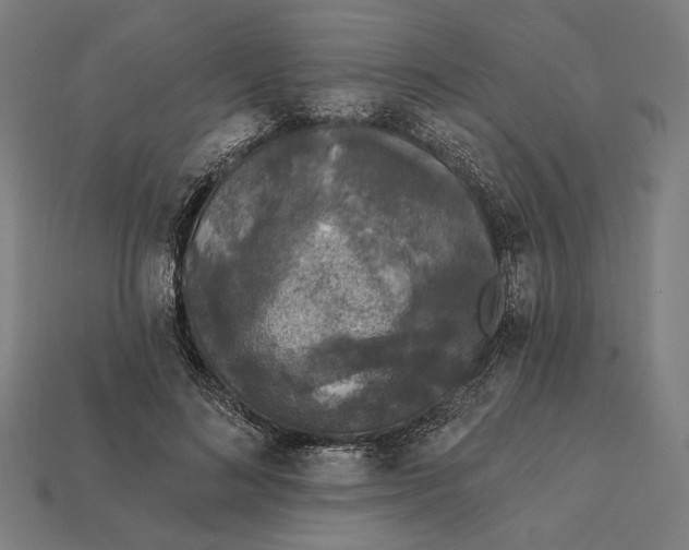 X0000112420692200909111010