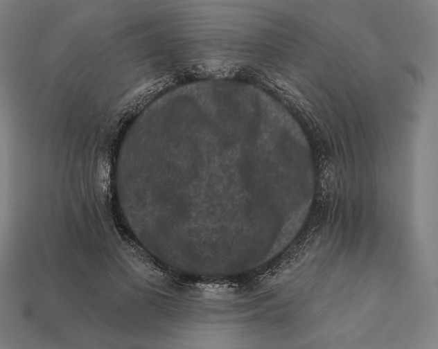 X0000112420693200909111010