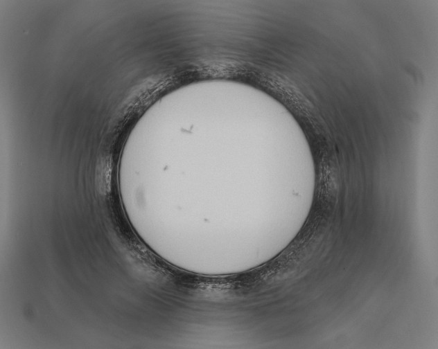 X0000112420694200909111010