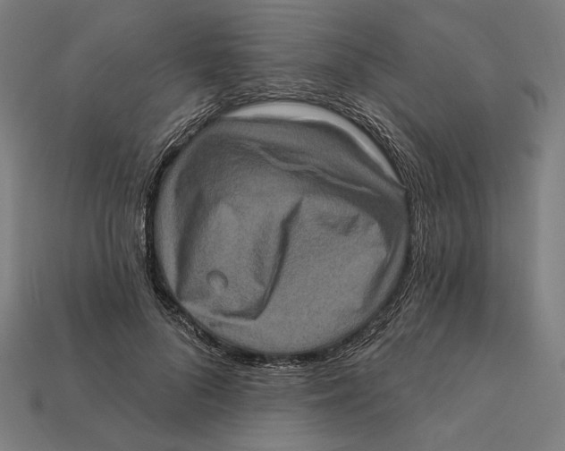 X0000112420696200909111010